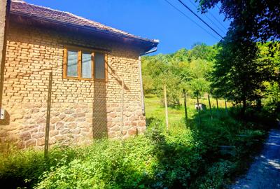 CASA si 2393 mp TEREN INTRAVILAN, Muntii Apuseni, NEGRENI - CLUJ la 1 km de E60 - 33