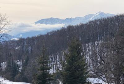 Teren agricol extravilan de 4900 mp, în 13 Decembrie - 5