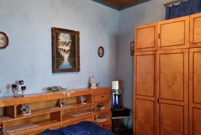 Casa si teren suprafata totala 3359 mp - sat Teslui, judetul Olt - 4