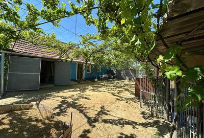 Casă individuală cu 2 camere cu Teren 1501 Mp în Birda - 9