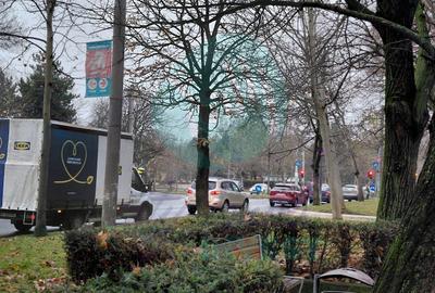 3 camere - Campia Libertatii | ParkLake & Parcul IOR vis-a-vis - 10