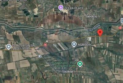 Teren intravilan de vanzare 3.675 mp Sabolciu, dire... - 5