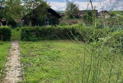 Casă cu 6 camere în Cornățel - 9