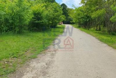 De vanzare 2.770mp teren intravilan Snagov - 3