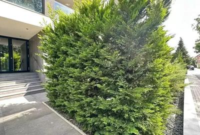 Apartament 3 Camere / Iancu Nicolae /2 Locuri de Parcare - 21