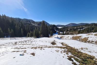 Teren situat langa padure de Vanzare - 2