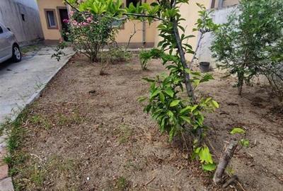 Casa Parter de vanzare Chiajna - 2