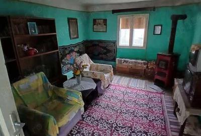 Casă cu 2 camere cu Teren 3342 Mp în Rusca - 10