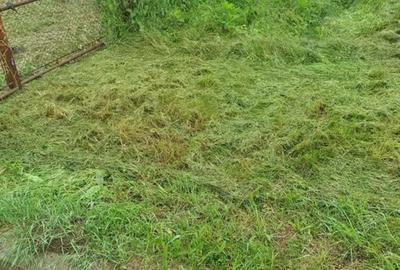 Teren de 6509 mp, în Turcinești - 6