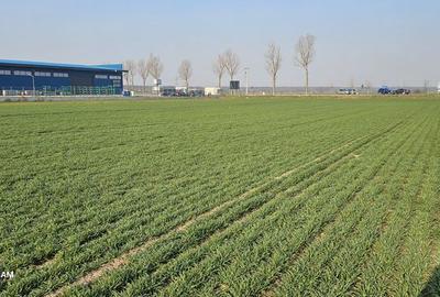 Teren de 2026 mp, în Central - 2