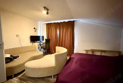 Casă cu Piscina în Dorobanților - 7