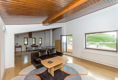 Vila de vanzare in Ranca, la baza partiei Papusa  sauna, jacuzzi - 31