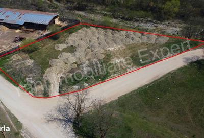 Teren de 2169 mp, în Albești - 5