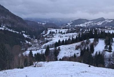 Teren de 1200 mp, în Dâmbovicioara - 5