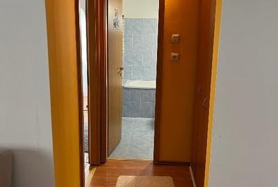 Inchieriez apartament 2 camere, Zona Dambovita, Timisioara - 11
