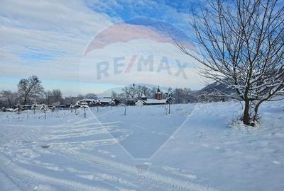 Casa / Vila cu 3 camere de vanzare in zona feerica, langa Manastire - 3