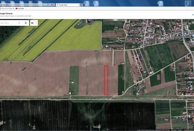 Vand teren 5000 mp Ciorogarla - 2