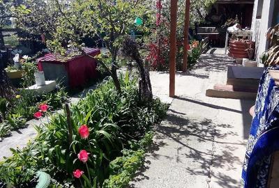 Casă în Mironeasa - 4