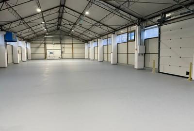 Spațiu industrial, 494 mp în Someșeni