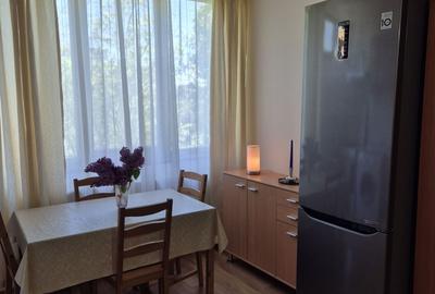 Garsonieră decomandată în Dosu Bricii - 3