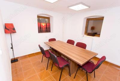 Spatiu de birou, demisol, vila, Parcul Carol Unirii, cu gradina - 6