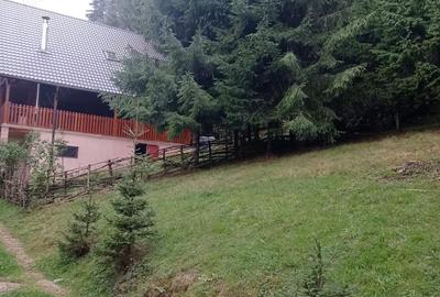 Teren în Muntele Băișorii - 6