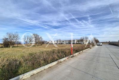 AX1027 Teren Intravilan, Zona Industriala Monlandys, Calea Sagului - 3