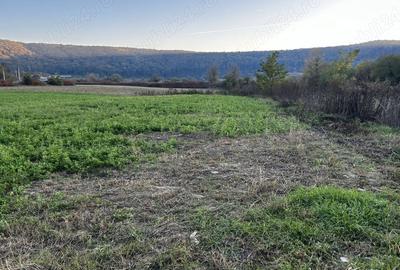 Teren de 5800 mp, în Central - 7