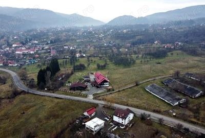 Teren de 8574 mp, în Căpățânenii Pământeni - 4