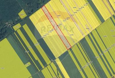 Teren Construcții intravilan de 11200 mp, în Nord-Est - 5