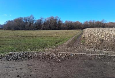 Teren intravilan de 14780 mp, în Grumăzești - 3