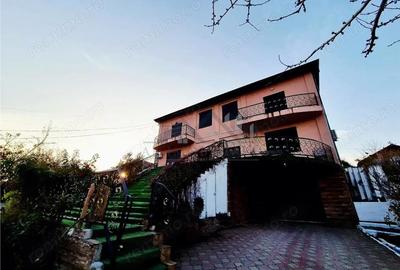 Casă cu 10 camere cu Teren 550 Mp în Vișani