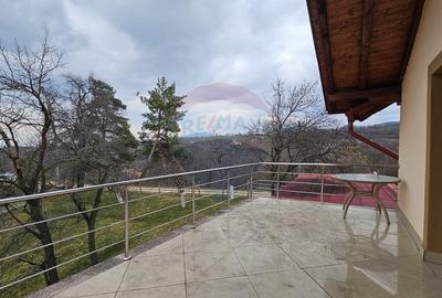 Casă cu 6 camere cu Teren 10331 Mp în Sohodol - 15