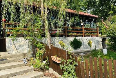 Casă cu 5 camere cu Teren 5000 Mp în Telega - 9