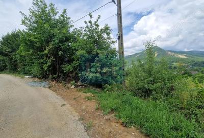 Teren de 5268 mp, în Baia Sprie - 4