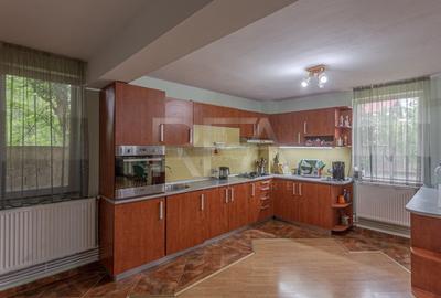 Vila Individuala | P+1+M | Dascalu - 11