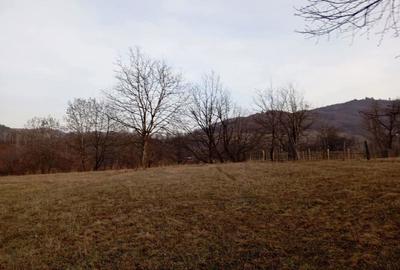 Teren de 1500 mp, în Pângărați - 3