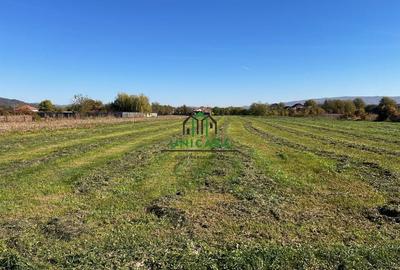 Teren intravilan/Str Balciului/Copacelu - 4