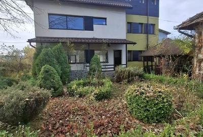 Daesti, jud. Valcea - 20