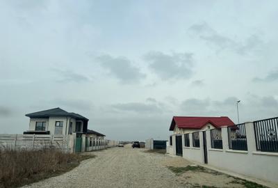 Domnesti- Proprietar, 3 loturi alaturate de 600mp fiecare lot - 4