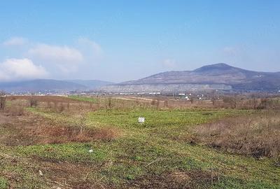 Teren de 5790 mp, în Central - 4