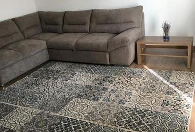 Garsonieră decomandată, mobilată în Podu Roș - 2