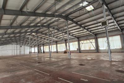 Spatii industriale  si comerciale  de inchiriat Focsani 5000 mp - 1