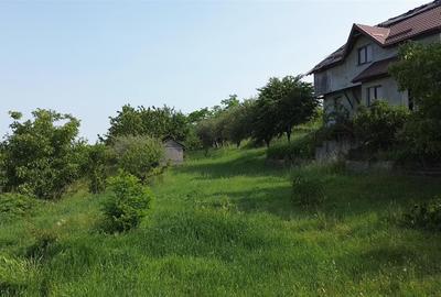 Teren Construcții intravilan de 4863 mp, în Adâncata - 3