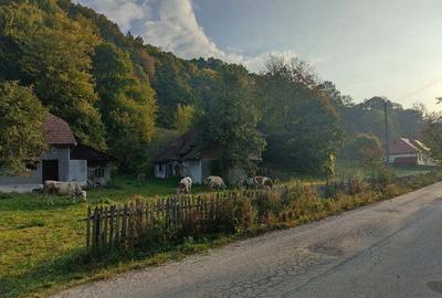 Casă cu 4 camere cu Teren 7000 Mp în Almașu Mare - 9