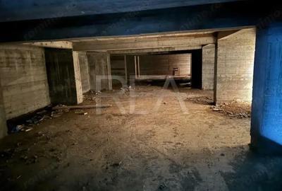 Proiect cu Viziune pe Malul Lacului Morii - 12