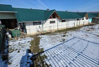 Teren de 6700 mp, în Broscăuți - 4