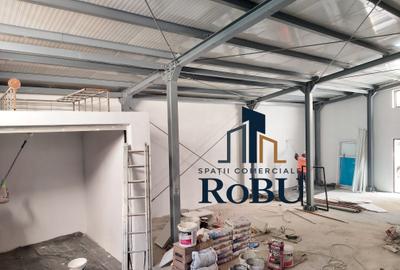 Spatiu productie/depozitare Calea Bucuresti # Spatii comerciale RoBU - 2