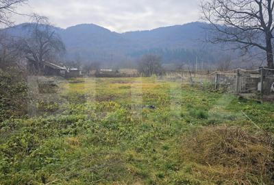 Teren de vanzare Nasaud - 5