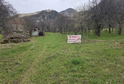 Casă cu 3 camere în Costești - 3